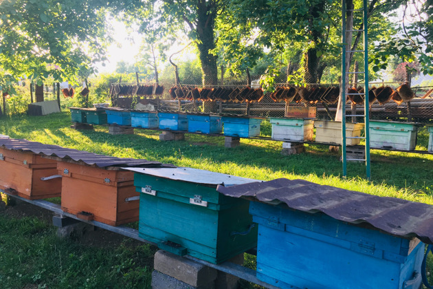 Гостеприимная Абхазия. Трансфер до р. Псоу. - 6