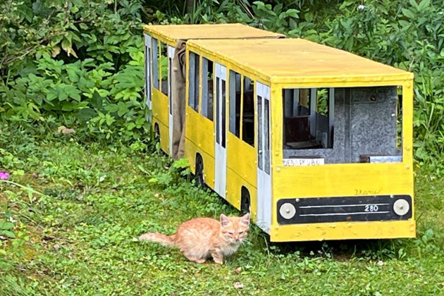 Окно в Историю - 11