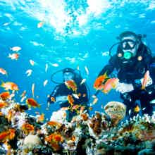 Дайвинг в Кемере с выездом из Антальи (включён обед и трансфер) Дайвинг в Кемере с выездом из Антальи (включён обед и трансфер)