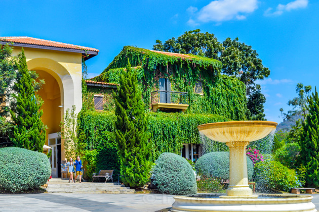 Авторская экскурсия на винодельню «Не ВИНОватая я» - 3