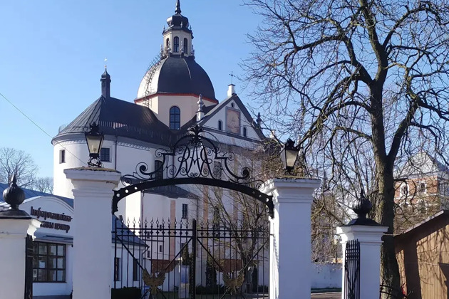 Мирский и Несвижский замок из Минска на автомобиле - 4