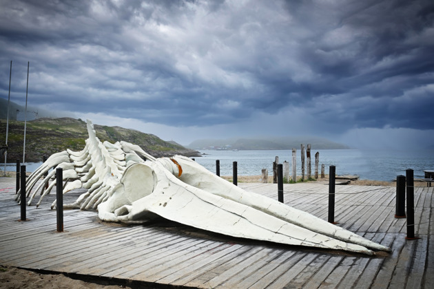 Териберка — бесценное достояние севера - 6