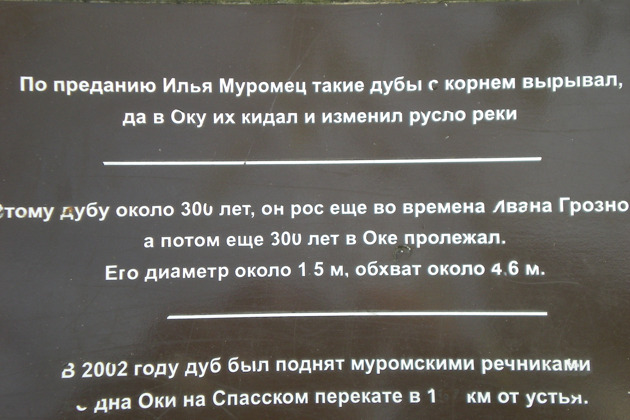 Из Москвы в Муром с гидом-психологом (2 дня) - 3