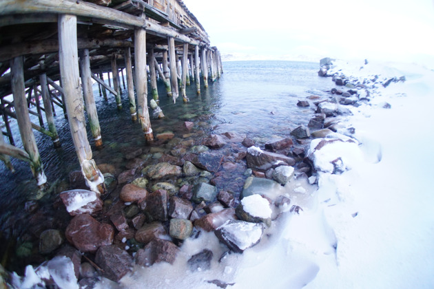 Индивидуальная экскурсия в Териберку в Новогодние каникулы - 4