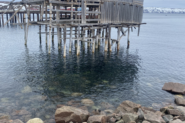 Экскурсия в Териберку + выход в Баренцево море - 6