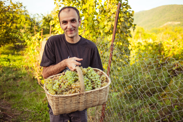 От лозы до тостов: Организованный Ртвели с традиционным застольем - 5