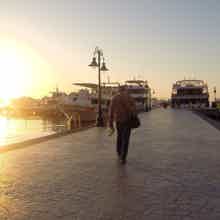 Alex