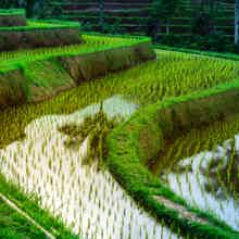 К самому высокому водопаду южного Вьетнама (из Муйне)