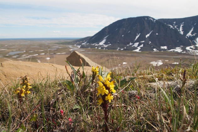 Ловозерские тундры: джип-тур к горе Аллуайв через Перевал Геологов - 5