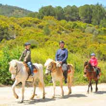 Верховая езда в Анталье: незабываемое приключение (включен трансфер) Верховая езда в Анталье: незабываемое приключение (включен трансфер)