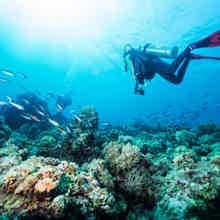 Дайвинг в центре Анталии Дайвинг в центре Анталии