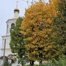 История и мистика старого города — прогулка по "нетуристическому" Смоленску История и мистика старого города — прогулка по "нетуристическому" Смоленску