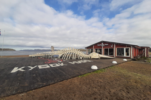 Экскурсия в Териберку + выход в Баренцево море - 12