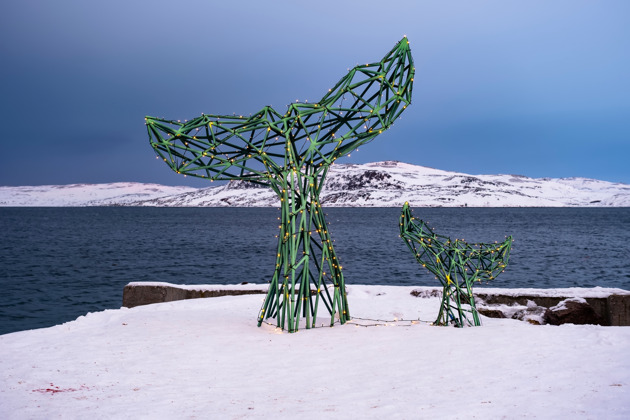 Трансферы по Кольскому полуострову - 3