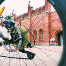 Экскурсии по Калининграду на велосипедах и самокатах