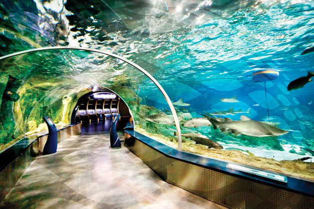 Поездка в Аквариум - билет + трансфер - 3