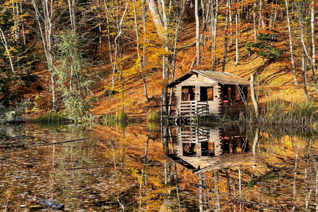 За горами, за лесами: Ай-Петри и Большой каньон - 5