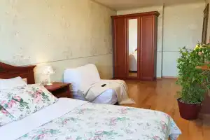 Апартаменты «AELITA с камином»