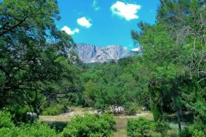 Апартаменты «Жуковка», Парковое