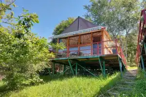 Эко-резиденции «Оранжереи», Черешня