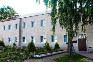 Мини-гостиница «Кузнечик», Дмитриев