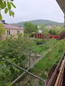 Тихая гавань - 54