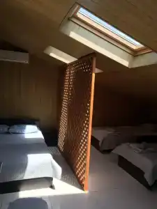 Пляхо - 70