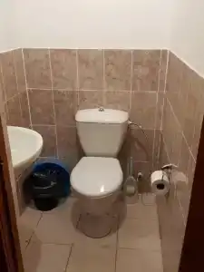 Веселый Рапан - 19