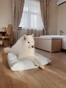 Медный двор - 1