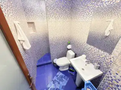 Близнецы - 489