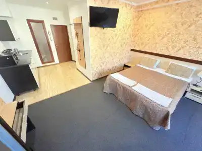 Близнецы - 455