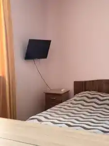 Орриент - 20