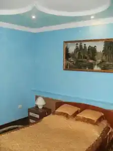 Птица - 24