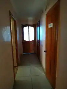 Птица - 20