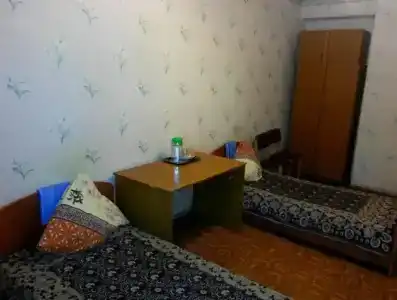 Птица - 16