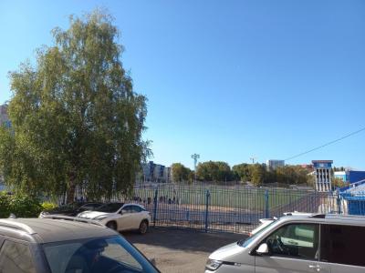 Dinamo - 41
