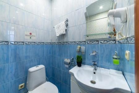 Танаис мини-отель - 240