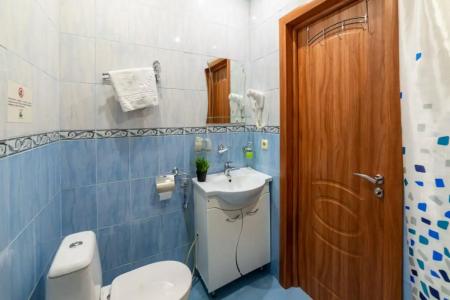 Танаис мини-отель - 250