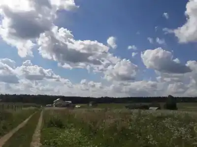 Полесье - 6