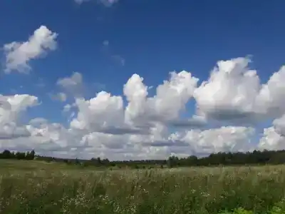 Полесье - 54