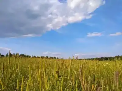 Полесье - 58