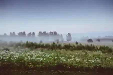 Полесье - 67