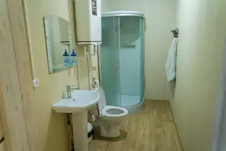Бородей - 6