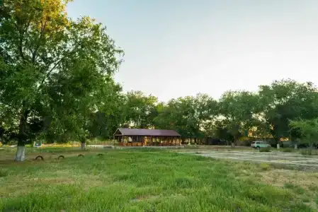 Бородей - 9