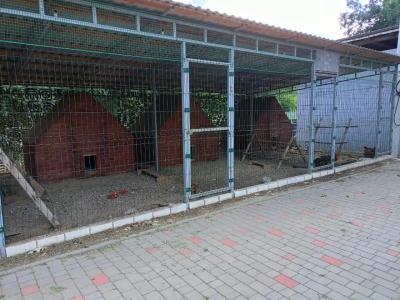 Дружба - 32