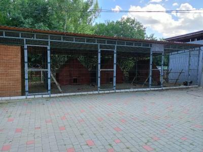 Дружба - 33