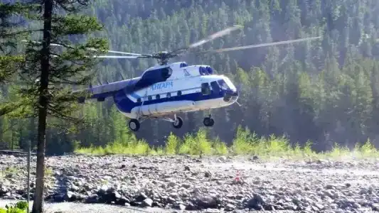 Шумак - 12