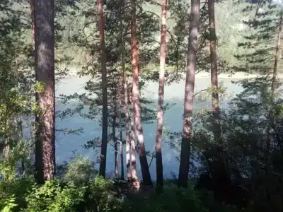 Усадьба Антоновых - 1