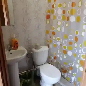Усадьба Антоновых - 14