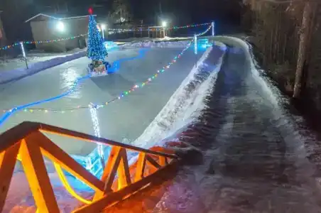 Кедр - 2